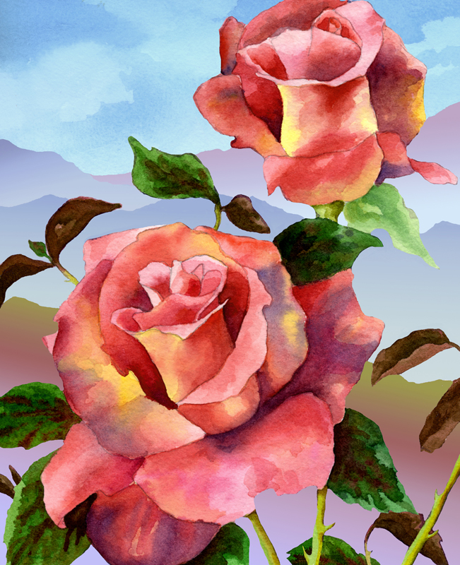 Mountain Rose by Anne Gifford