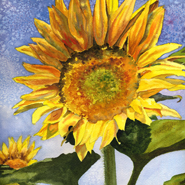 Sunflowers II by Anne Gifford