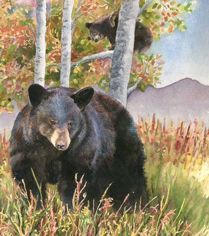 Mama Bear by Anne Gifford
