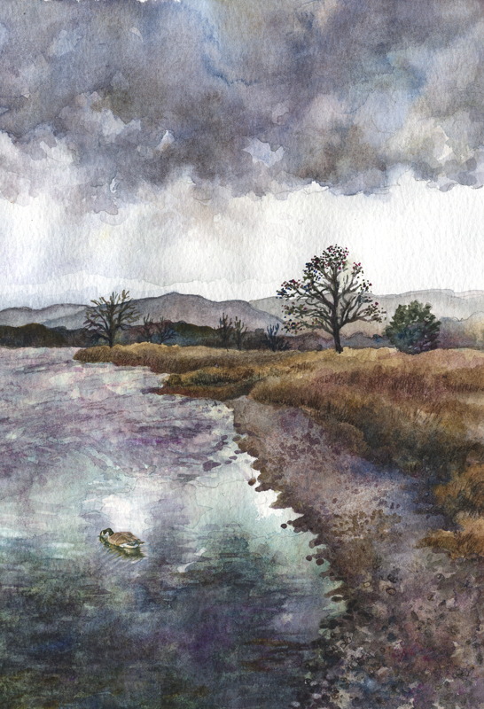 Walden Ponds on and April Evening by Anne Gifford