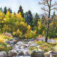 Creek at Caribou by Anne Gifford